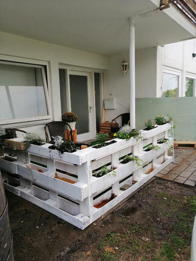 Apartment Froschkoenig 格拉登巴赫 外观 照片